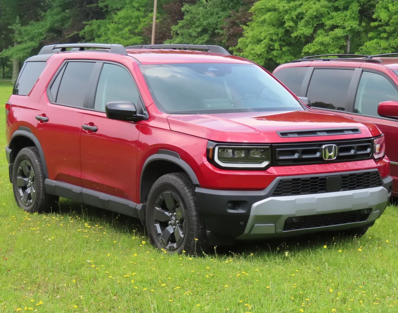 Honda Passport